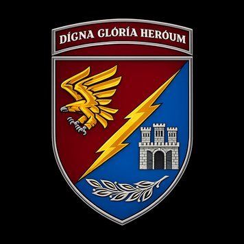 Шеврон 13 ОДШБ имени Тараса Сенюка, военный патч на липучке ШБ0053 фото