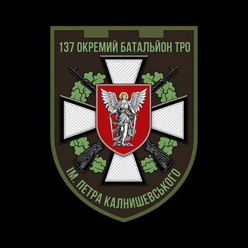 Шеврон 137-го окремого батальйону територіальної оборони (Гайшин) на липучці ШБ0621 фото