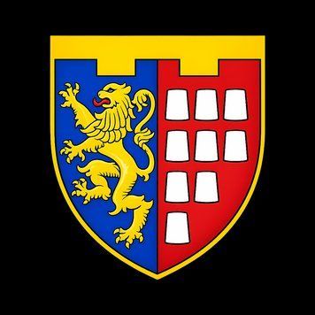 Шеврон 67-го отдельного батальона территориальной обороны (г. Дрогобыч) на липучке ШБ0578 фото